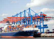 rafael food trading company - lager und logistik - import